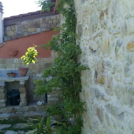Appartement Rustico Zagara à Buseto Palizzolo Extérieur photo